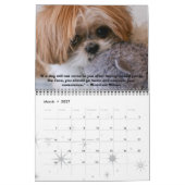 Tallulah Bean Calendar Cute Shih Tzu Kalender (Mar 2027)