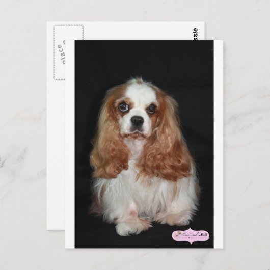 Tallulah Briefkaart (Voorkant / Achterkant)