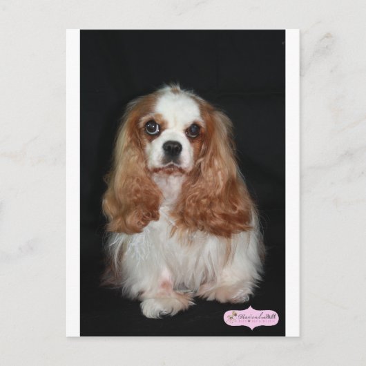 Tallulah Briefkaart (Voorkant)