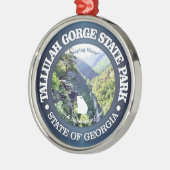 Tallulah Gorge SP Metalen Ornament (Links)