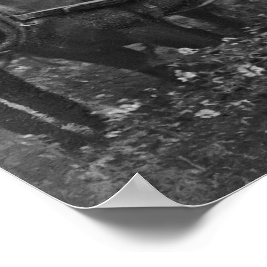 TALLYHO COACH PARTIJ c. 1889 Poster (Hoek)