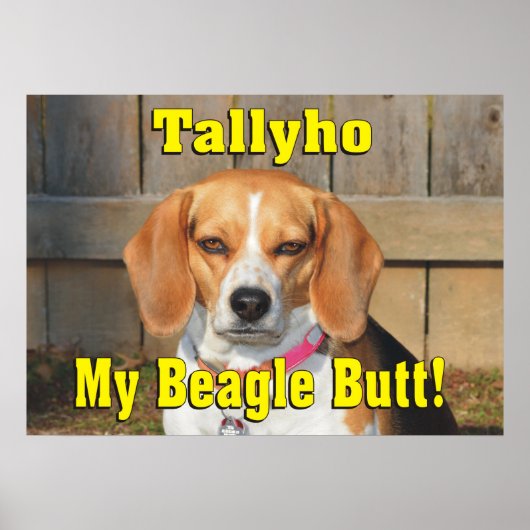 Tallyho mijn beagle Butt! Grumpy Beagle Poster (Voorkant)