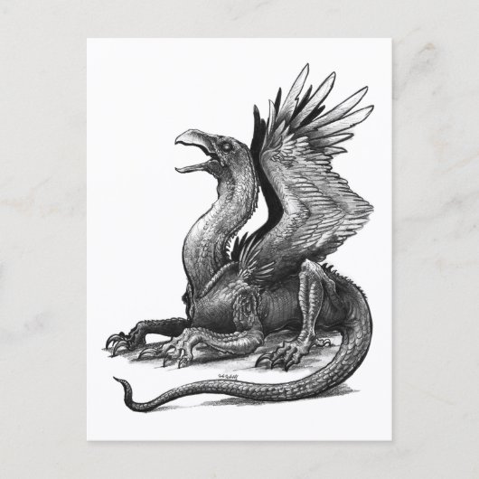 Talon - Briefkaart (Voorkant)