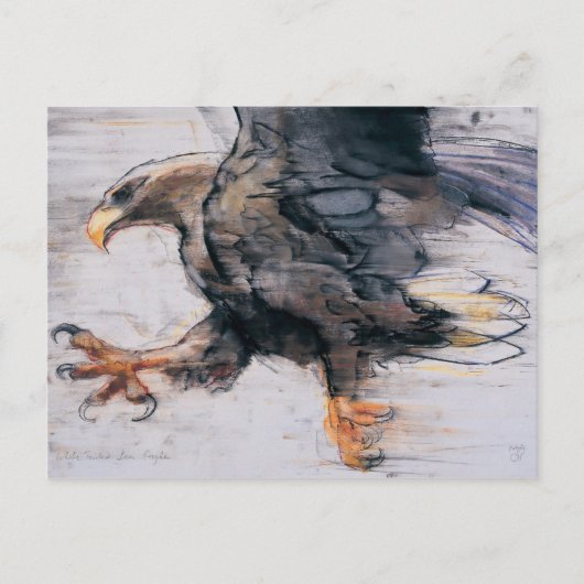 Talon - WitstaartZee Eagle 2001 Briefkaart (Voorkant)