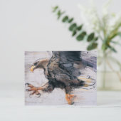 Talon - WitstaartZee Eagle 2001 Briefkaart (Staand voorkant)