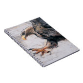 Talon - WitstaartZee Eagle 2001 Notitieboek (Rechterzijde)