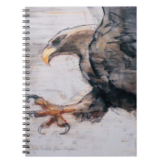 Talon - WitstaartZee Eagle 2001 Notitieboek (Voorkant)