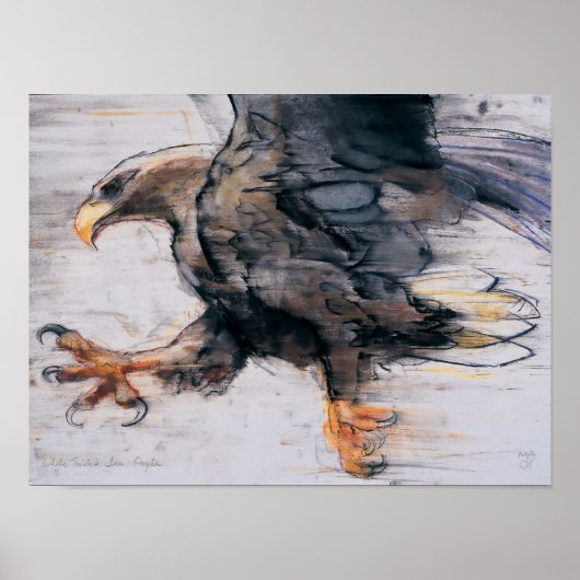 Talon - WitstaartZee Eagle 2001 Poster (Voorkant)