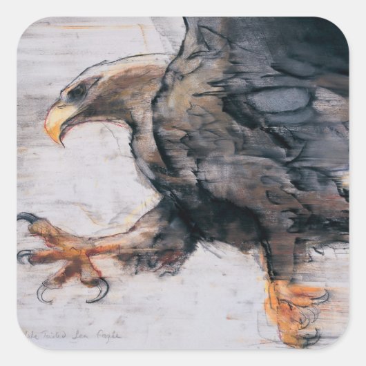 Talon - WitstaartZee Eagle 2001 Vierkante Sticker (Voorkant)