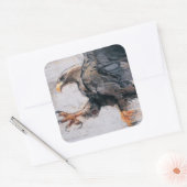 Talon - WitstaartZee Eagle 2001 Vierkante Sticker (Envelop)