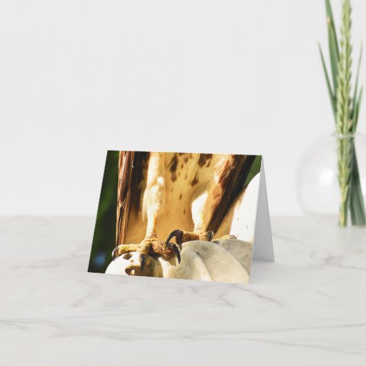 Talons (Red-tailed Hawk #2) - Blank Note Kaart (Voorkant)