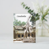 tam boomwortels briefkaart (Staand voorkant)