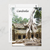 tam boomwortels briefkaart (Voorkant / Achterkant)