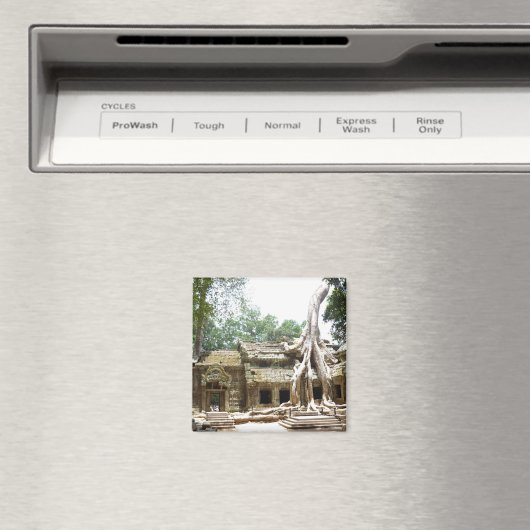 tam magneet (Insitu (Vaatwasser))