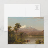 Tamaca Palms langs de Magdalena-rivier in Colombia Briefkaart (Voorkant / Achterkant)