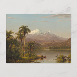 Tamaca Palms langs de Magdalena-rivier in Colombia Briefkaart