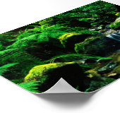 Tamalpais State Park, CA Poster (Hoek)