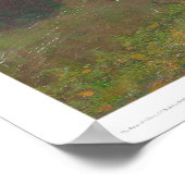 Tamalpais van Corte Madera Creek (1153) Poster (Hoek)