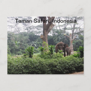 Taman Safari Briefkaart