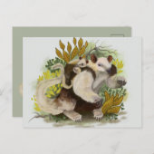 Tamandua Anteater Briefkaart (Voorkant / Achterkant)