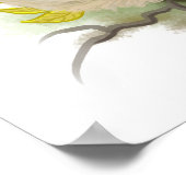 Tamandua Anteater Poster (Hoek)