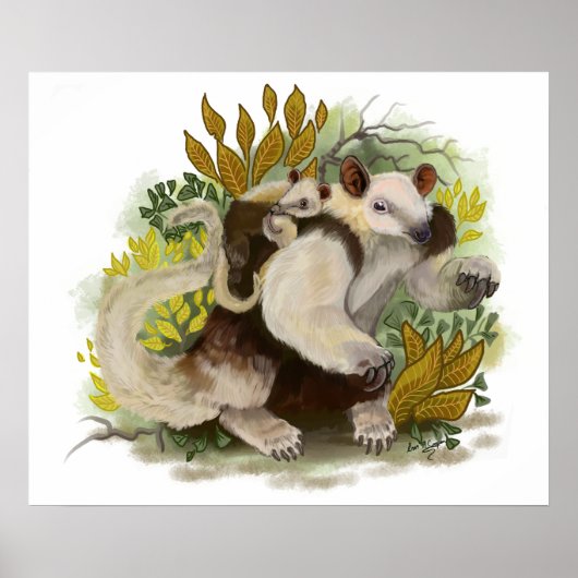 Tamandua Anteater Poster (Voorkant)