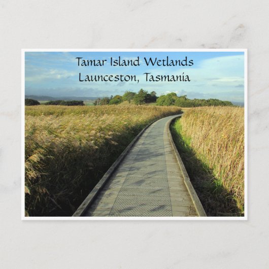 tamar wetlands paden briefkaart (Voorkant)