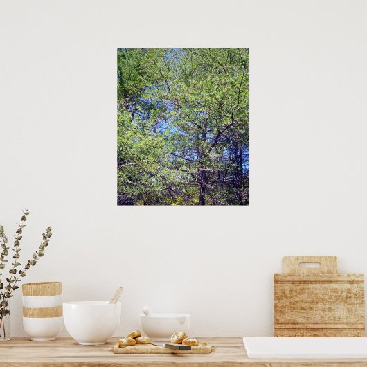Tamarack Larch Tree 1 Poster (Keuken)