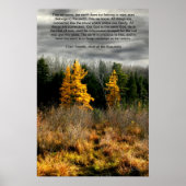 Tamarack Three Seattle Quote Kaart, Seattle Quote  Poster (Voorkant)