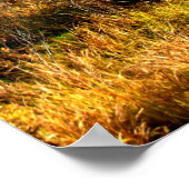 Tamarack Three Seattle Quote Kaart, Seattle Quote Poster (Hoek)