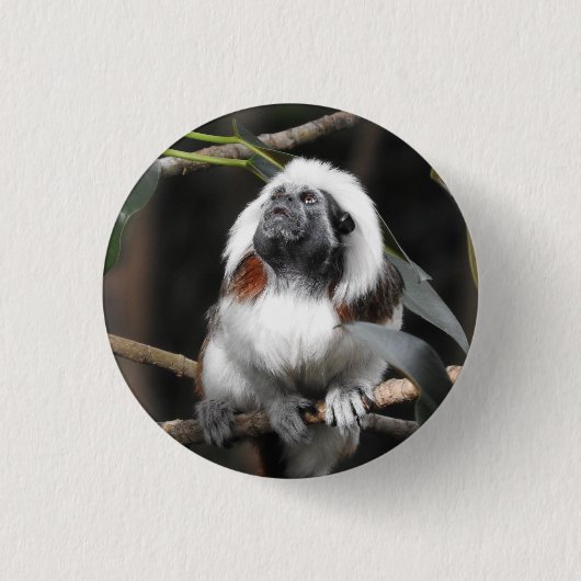 Tamarin Badge Ronde Button 3,2 Cm (Voorkant)