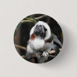 Tamarin Badge Ronde Button 3,2 Cm