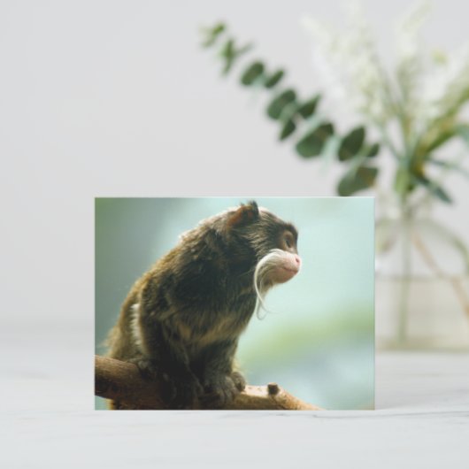 Tamarin Monkey Briefkaart (Staand voorkant)