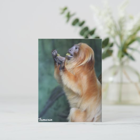 Tamarin Monkey Briefkaart (Staand voorkant)