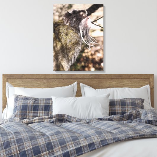 TAMARIN MONKEY CANVAS AFDRUK (Insitu (Slaapkamer))