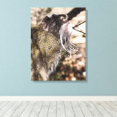 TAMARIN MONKEY CANVAS AFDRUK (Insitu (Houten vloer))