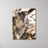 TAMARIN MONKEY CANVAS AFDRUK (Voorkant)