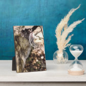 TAMARIN MONKEY FOTOPLAAT (Zijkant)