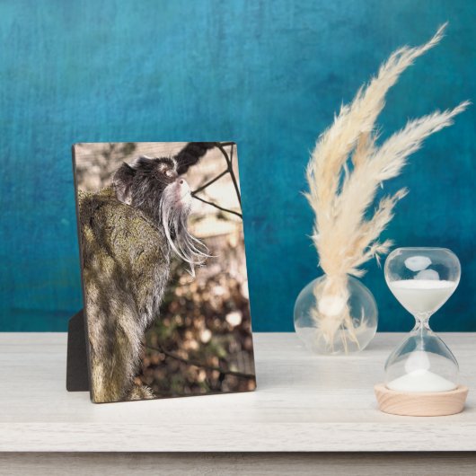 TAMARIN MONKEY FOTOPLAAT (Zijkant)