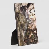 TAMARIN MONKEY FOTOPLAAT (Zijkant)