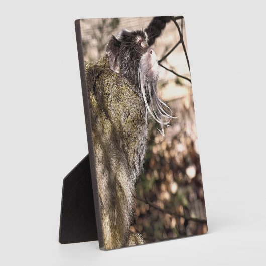 TAMARIN MONKEY FOTOPLAAT (Zijkant)