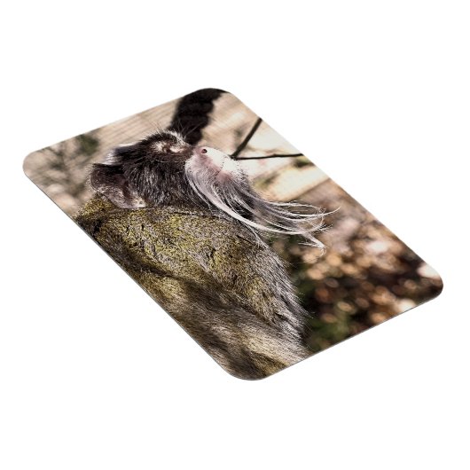 TAMARIN MONKEY MAGNEET (Rechterzijde)