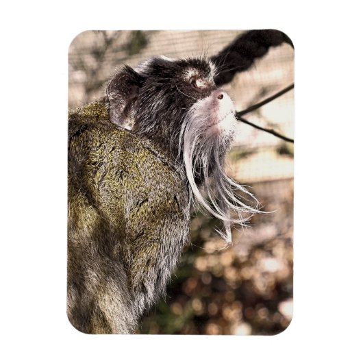 TAMARIN MONKEY MAGNEET (Verticaal)