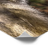 TAMARIN MONKEY POSTER (Hoek)