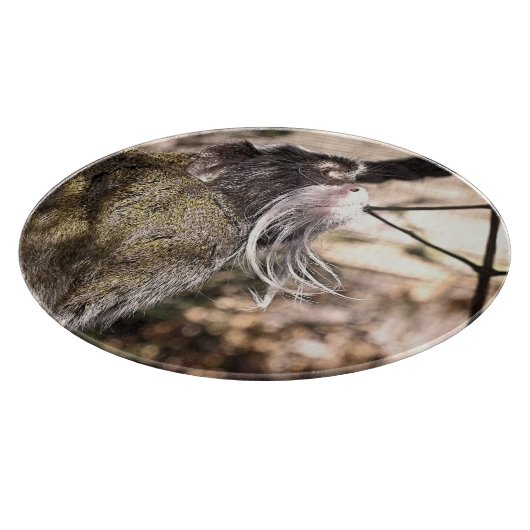 TAMARIN MONKEY SNIJPLANK (Hoek)