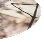 TAMARIN MONKEY SNIJPLANK (Hoek)