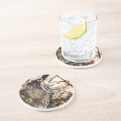 TAMARIN MONKEY ZANDSTEEN ONDERZETTER (Zijkant)