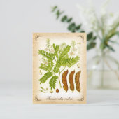 Tamarind -  illustratie briefkaart (Staand voorkant)