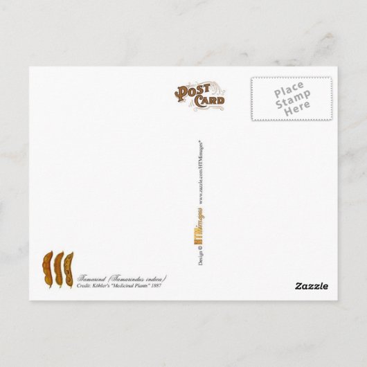 Tamarind - illustratie briefkaart (Achterkant)