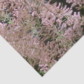 Tamarisk Blossom Tissue Paper Tissuepapier (Detail)